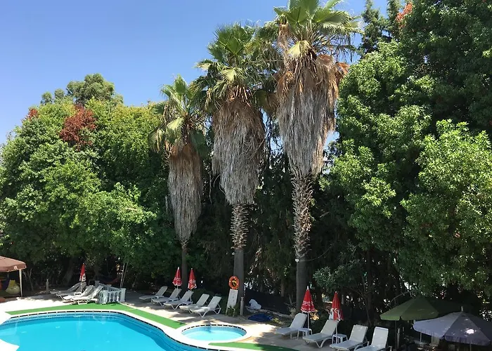 Cenk Bey Fethiye